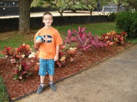 /album/oahu/a120625-1982-markytikyz-jpg/