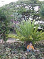 /album/oahu/a120626-2127-marnageokeskaz-jpg/