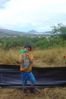 /album/oahu/a120626-09990-kparkudiamondheadz-jpg/