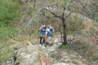 /album/oahu/a120626-10046-japonciz-jpg/