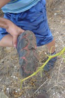 /album/big-island/a120628-09807z-jpg/