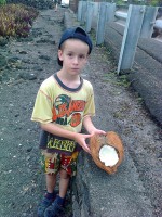 /album/big-island/a210627-mobile0149z-jpg/